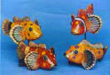 CLICK FOR BRONZE CLOWNFISH